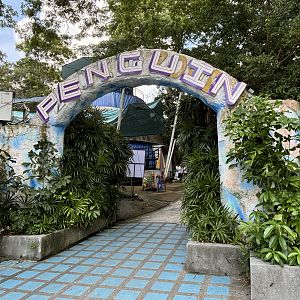 Humboldt Penguin Exhibit - entrance