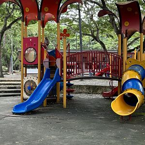 Long-tailed Macaque - on playground