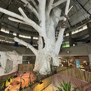 Zoology Discovery Center