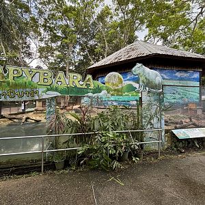 Capybara Exhibit