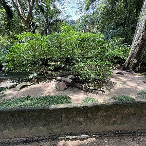 Elongated Tortoise Exhibit