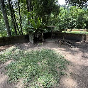 African Spurred Tortoise Exhibit #1