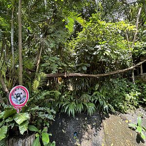 Two-toed Sloth Exhibit