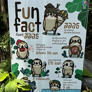 Sloth Fun Facts
