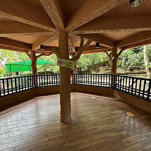 Pygmy Hippo Exhibit - overlook