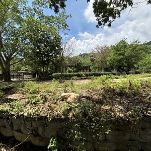 Burchell’s Zebra Exhibit