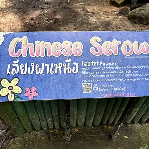 “Chinese Serow” Sign