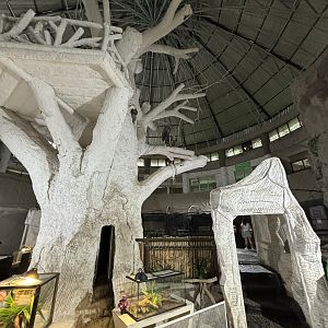 Zoology Discovery Center