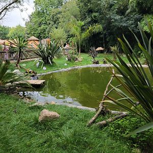 Dik-Dik, Cranes and Storks exhibit
