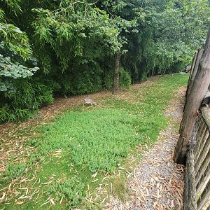 Dik-Dik, Cranes and Storks exhibit