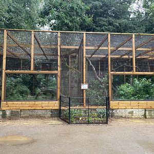 New Pallas's Cat Enclosure