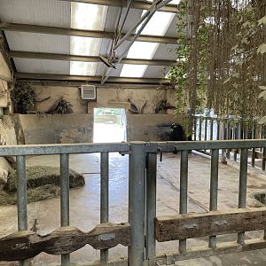 Southern White Rhinoceros House