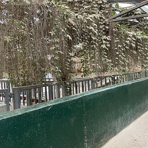 Southern White Rhinoceros House