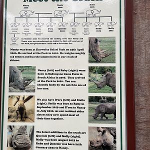 Southern White Rhinoceros Signage