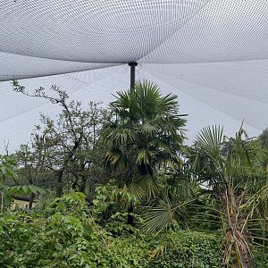 Madagascar Walkthrough