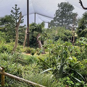 Madagascar Walkthrough