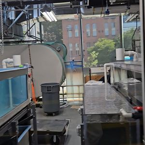 Behind the Scenes (1 half)