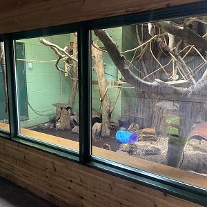 Monkey Heights - Mixed Exhibit 130624