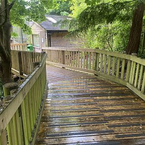 Monkey Heights 130624