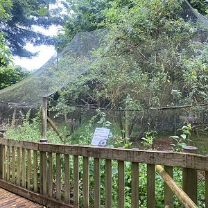 Monkey Heights - Squirrel monkey and Azara’s agouti exhibit 130624