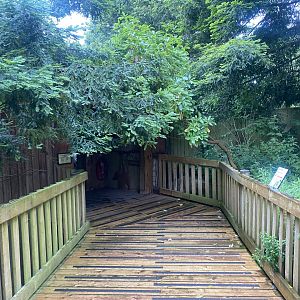 Monkey Heights 130624