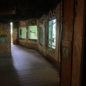 Monkey Heights - Diana monkey exhibit 130624