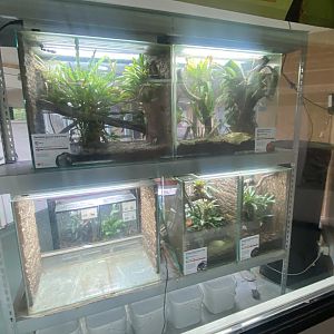 Amphibian Ark 130624