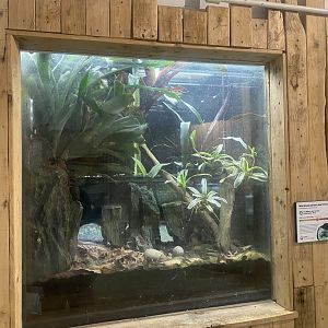 Amphibian Ark - Maranon poswu exhibit 130624