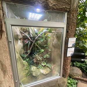 Reptile Tropics - Mixed exhibit 130624
