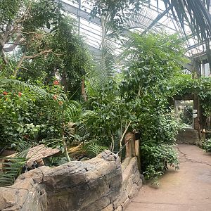 Reptile Tropics 130624