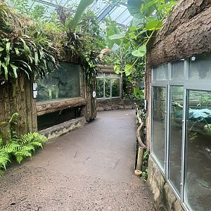 Reptile Tropics 130624