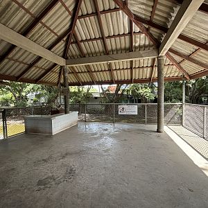 Croc Viewing Platform