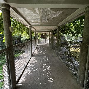 Siamese + Saltwater Croc Pools