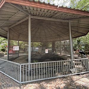 Asiatic Black Bear Exhibit