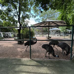 Emu Exhibit