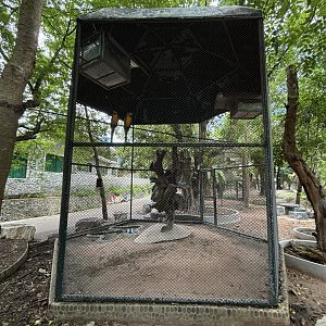 Macaw Aviary #2