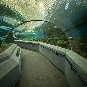 Tunnel Tank