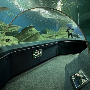 Tunnel Tank