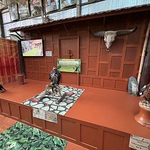 Raptor Holding Zone (extra fee)