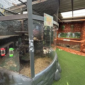 Raccoon + Echidna Exhibits