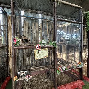 Spotted Genet Exhibit