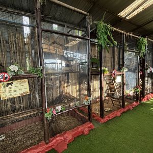 Assorted Menagerie Cages