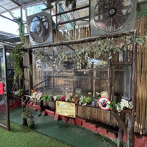 Greater Cane Rat Exhibit