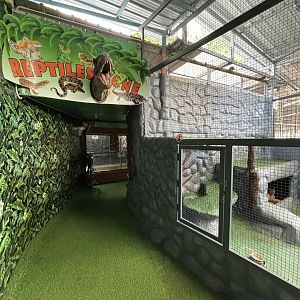 Reptile Zone + Caracal Exhibit