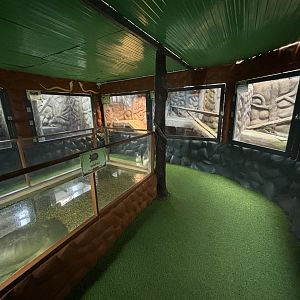 Reptile Zone