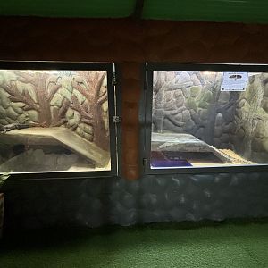 Gharial Exhibit