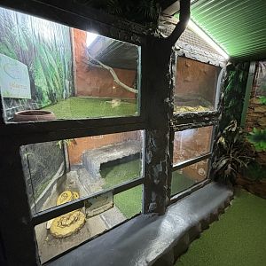 Reticulated Python Exhibit #2