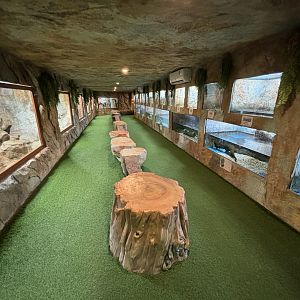 Reptile Zone