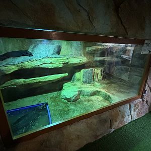 Black Monitor Exhibit