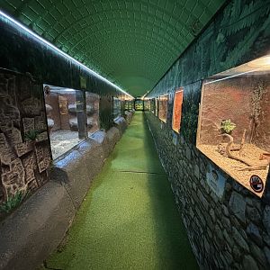 Reptile Zone